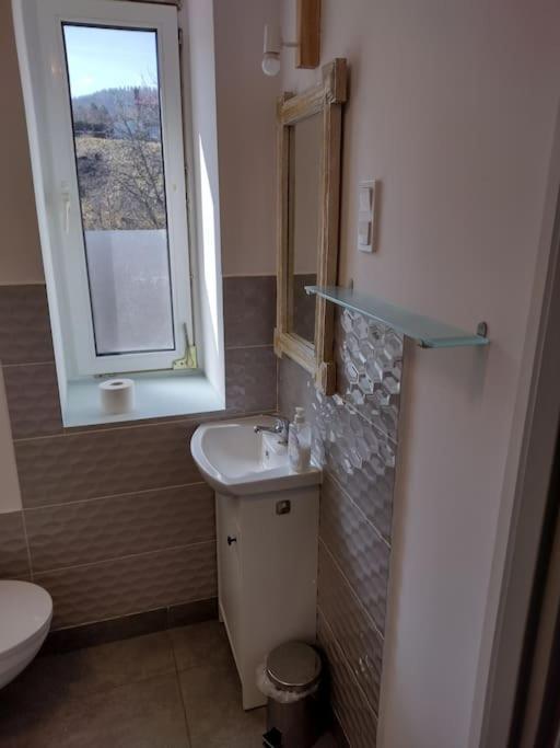 Apartamento Sudety Hut 3 Podgórzyn Exterior foto
