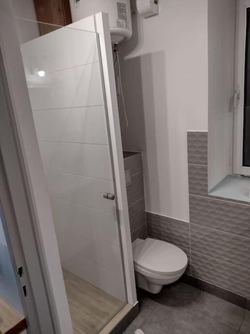 Apartamento Sudety Hut 3 Podgórzyn Exterior foto